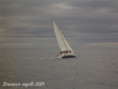 /album/snimky-z-nekolika-rocniku-breznove-regaty/breznova-regata-2009-12-jpg/